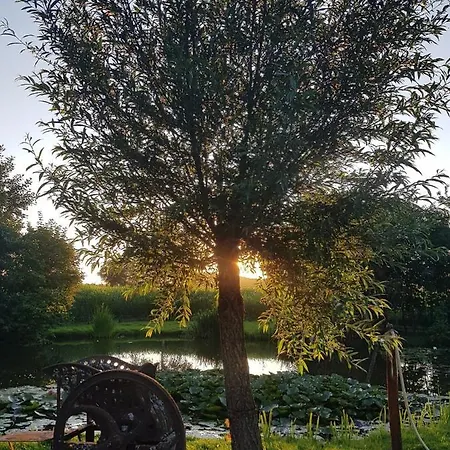 Op Ut Schoor דירה