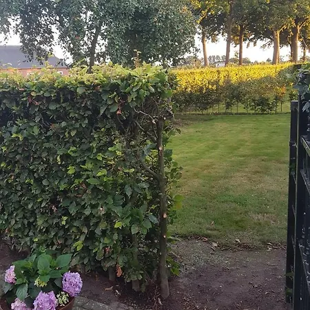 Op Ut Schoor Sint-Oedenrode