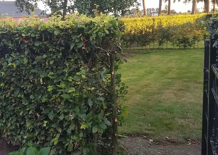 Op Ut Schoor Sint-Oedenrode