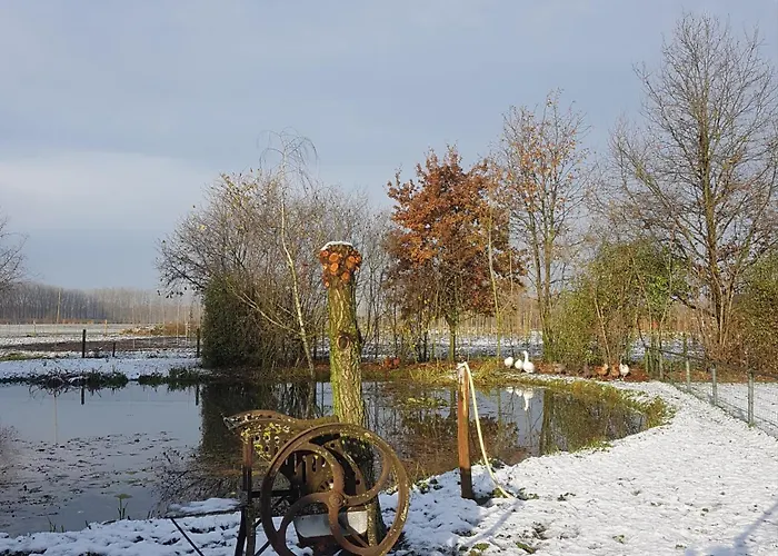 Op Ut Schoor Appartamento *